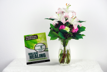 mock-00738-9ee6d (3)